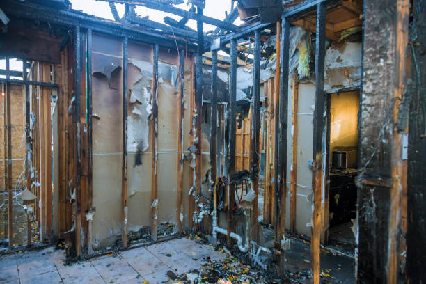 Professional Odor Removal technician working in Edgar, WI